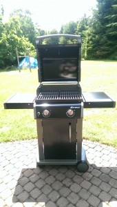 Weber Spirit E-210